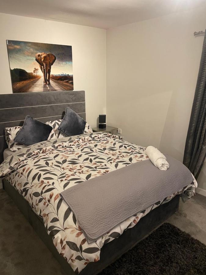 Fantastic Full 3 Bedroom Modern Apartment Belfast Dış mekan fotoğraf